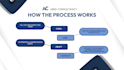 write an investor ready business plan, pitch deck, and financial model