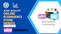 design a wordpress woocommerce website or ecommerce online store