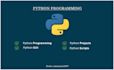 do your python tasks and projects
