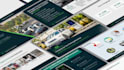 create powerpoint presentation, powerpoint deck design or powerpoint template