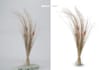do amazon product photo editing, white or cut out background