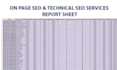 do website on page SEO and technical optimization service of wordpress site