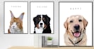 draw cartoon pet portraits, dogs, cats cartoon pet portraits