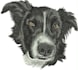 digitize image for embroidery, custom embroidery digitizing, embroidery logo