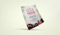 design christmas flyer, tri fold, bi fold, brochure