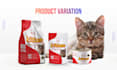 design unique 3d pouch bag, food packaging, box label