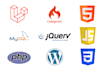 resolve laravel, codeigniter, PHP, HTML, CSS, javascript, jquery and mysql bugs