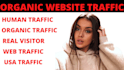 real usa web traffic, organic visitor, real visitor