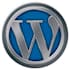 customize every type of themes design your wordpress website
