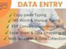 professional work excel,ms word,power point and data entry