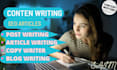 be your SEO website content writer, blog and article writer