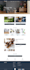 install a premium shopify best themes in shopify store