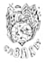 illustrate and design and draw