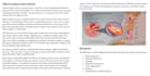 write perfect medical articles as a doctor