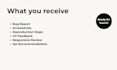 test your website and provide a professional QA report