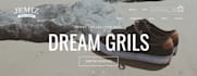 build and revamp 7 figure shopify dropshipping website