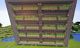 create 1000 piston lined sugarcane farm