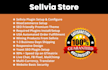 create automated aliexpress sellvia woocommerce dropshipping store