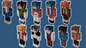 make your quality custom minecraft skin