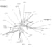conduct phylogenetic analysis using mega software