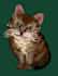 create any pixel art illustration