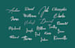 custom handwritten digital signature