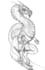 create illustration made with graphite pencil