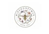 design outstanding bee logo with express delivery