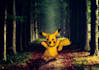 make a proficient photo manipulation for you