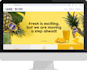 create your wp, shopify, custom and cms admin panel sites