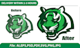 do vector trace, I will redraw your logo, icon any design