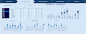 do dashboard, graphs,  macros, pivot tables,
