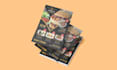 do digital, food, restaurant menu design with flyer