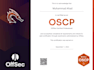 do penetration testing and vulnerability assessment