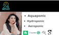 write top notching content about aquaponic, hydroponic, and aeroponic