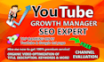 be your channel growth manager to rank your video as a youtube video SEO expert