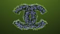grow 3d plants on your logo
