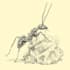 create high detail freehand digital illustration