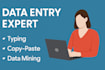 do excel data entry, copy paste and website data entry tasks