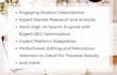 write SEO product descriptions in english or french
