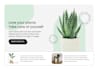 design creative ads UI design, poster design and any banner