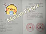 be your live telephonic video chinese interpreter translator