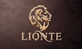 design 3d metallic, gold and chrome logo