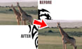 do stunning object remove and remove object from photo