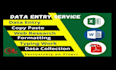 be your expert  data entry VA