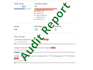 provide fully custom website SEO audit report with ranking plan for consultancy