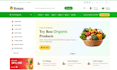convert figma, PSD, xd to wordpress website design with elementor