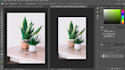 do photoshop editing and photo manipulation