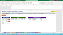 develop advanced excel automation and vba programming