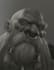 draw a realistic or stylized portrait for you